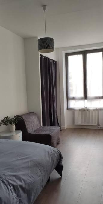 Logement 5 Personnes Proche Cv Et Parking Prive Apartment Saint-Etienne  Luaran gambar