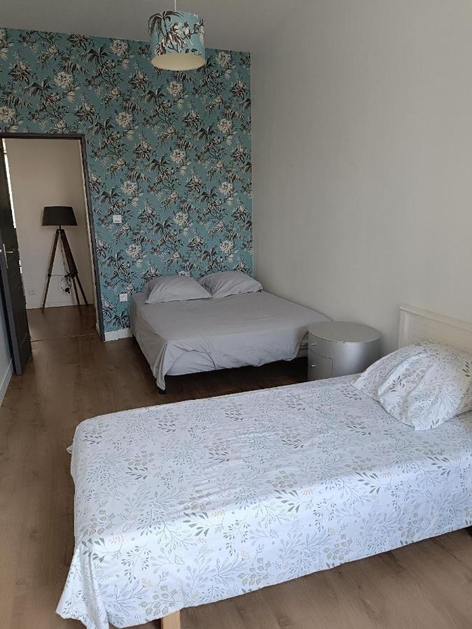 Logement 5 Personnes Proche Cv Et Parking Prive Apartment Saint-Etienne  Luaran gambar